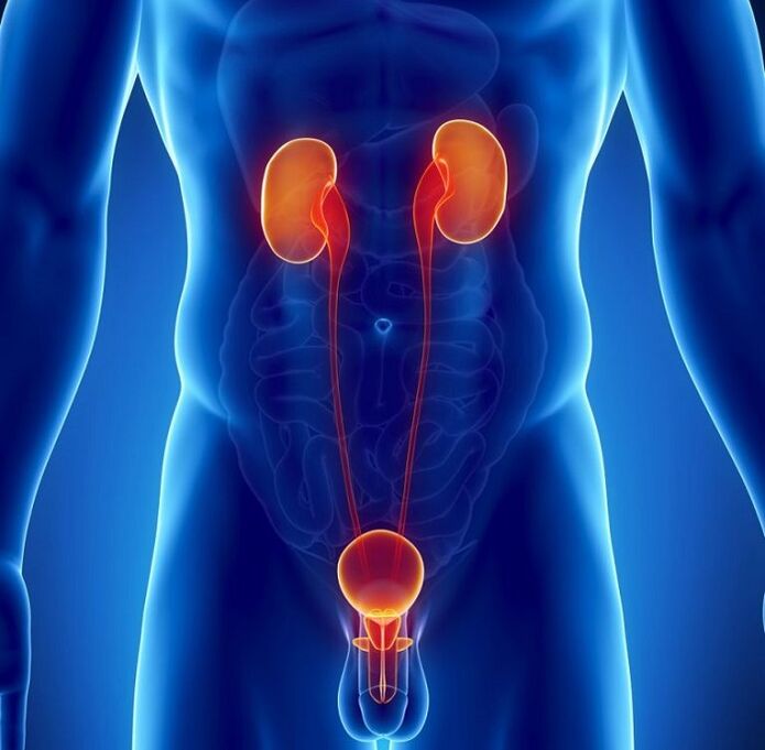 какви хронични заболявания могат да повлияят на мъжката потентност